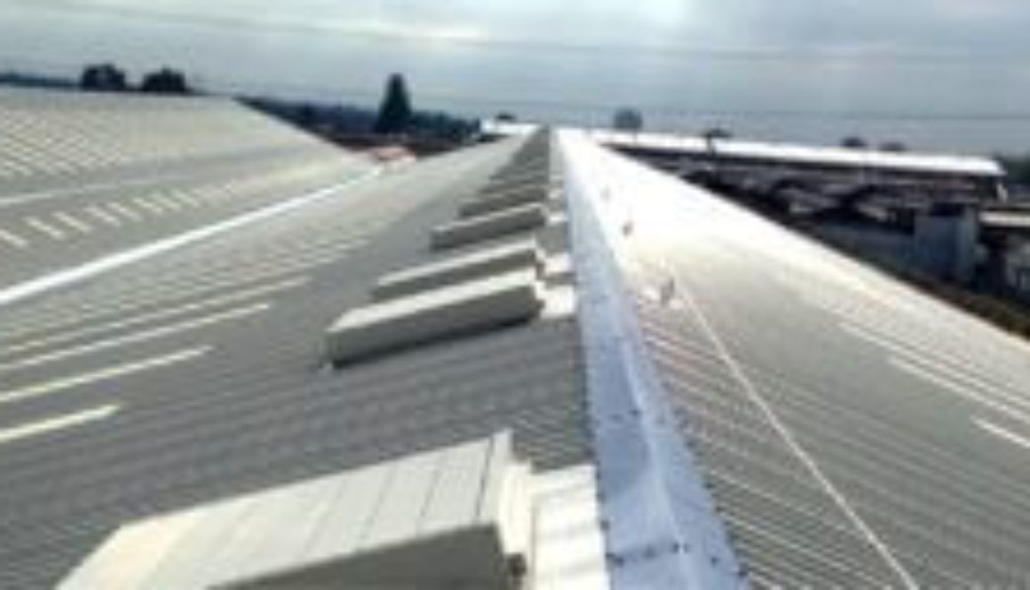 How Electronic Leak Detection Can Help Your Roof This Winter
